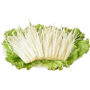 Нарийн цагаан мөөг