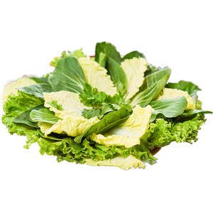 Навчит ногооны цуглуулга